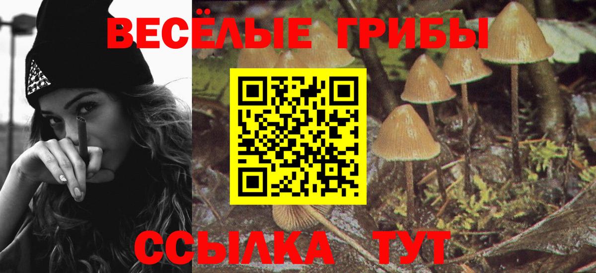 Галлюциногенные грибы мицелий  Вход с VPN  Биробиджан 